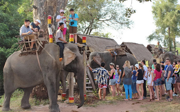 Explore The Exotic Of The Central Highlands Tour In 5 Days 4 nights - BestBooking