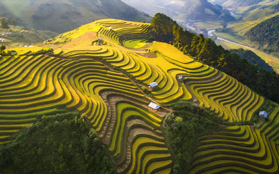 Experience Mu Cang Chai Tour In 4 Days 3 Nights From Hanoi - bestbooking